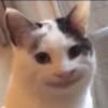 briatom